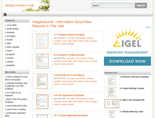 Tablet Screenshot of imageresume.com